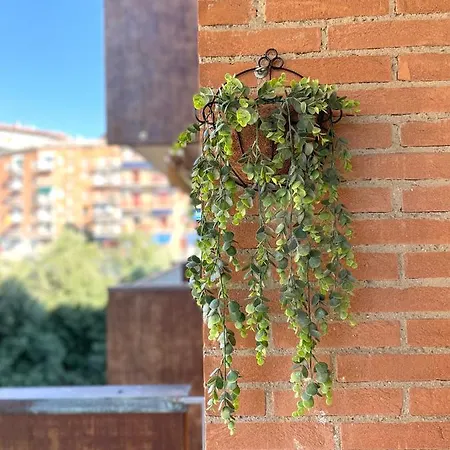 Apartment Filo